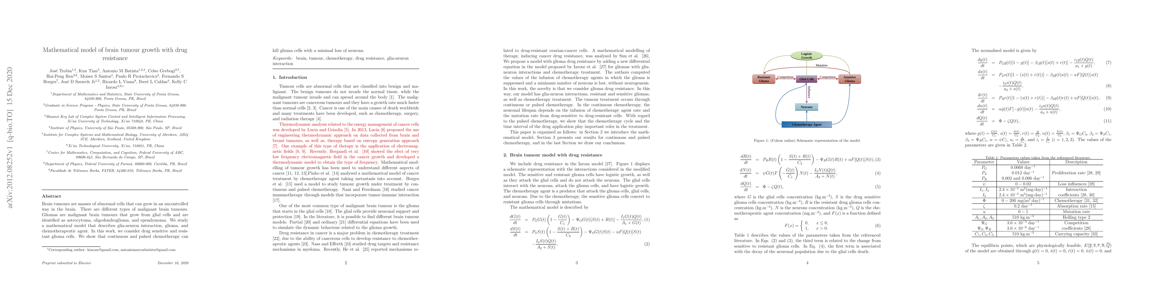 Thumbnail for Mathematical model of brain tumour growth with drug resistance