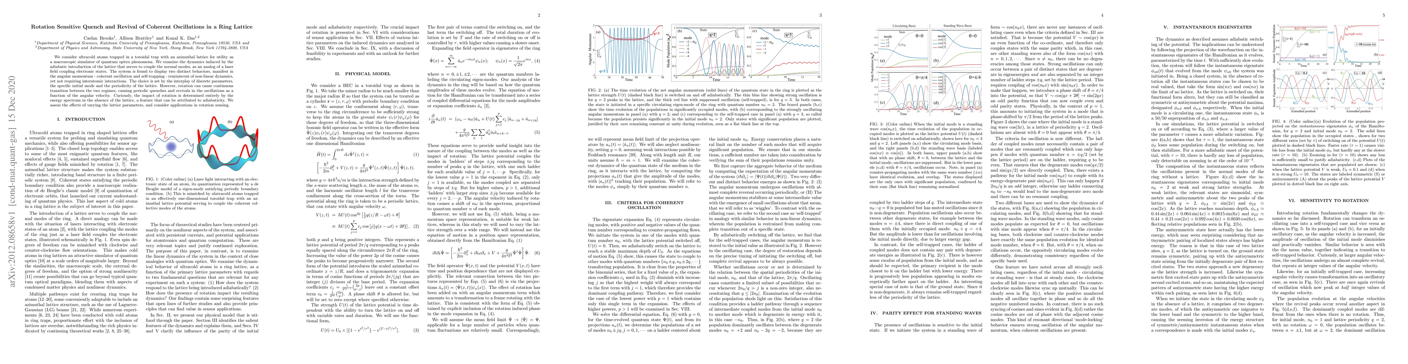 Thumbnail for Rotation Sensitive Quench and Revival of Coherent Oscillations in a Ring
  Lattice