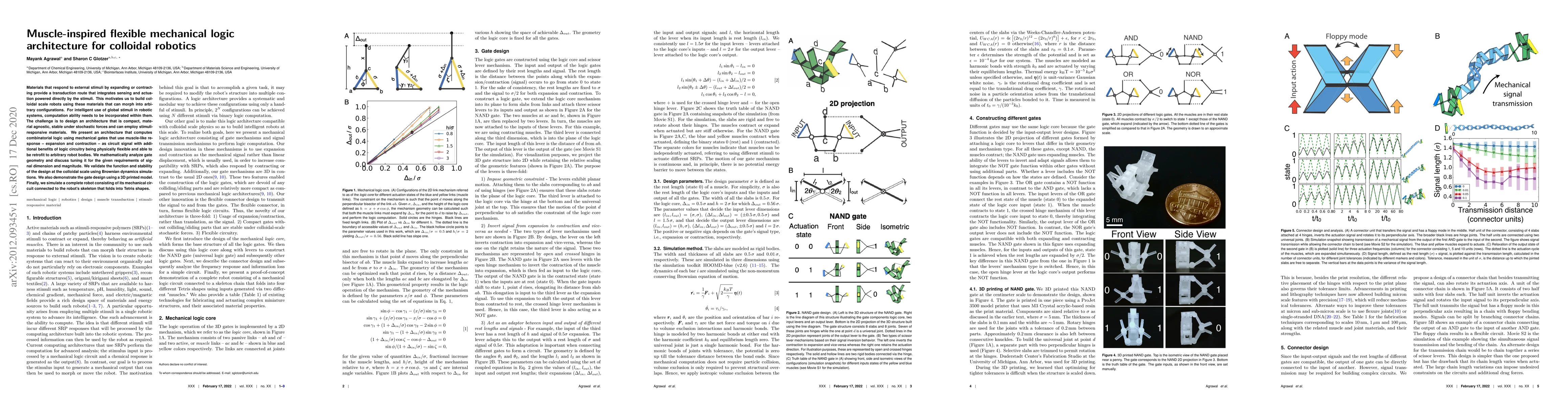 Thumbnail for Muscle-inspired flexible mechanical logic architecture for colloidal
  robotics