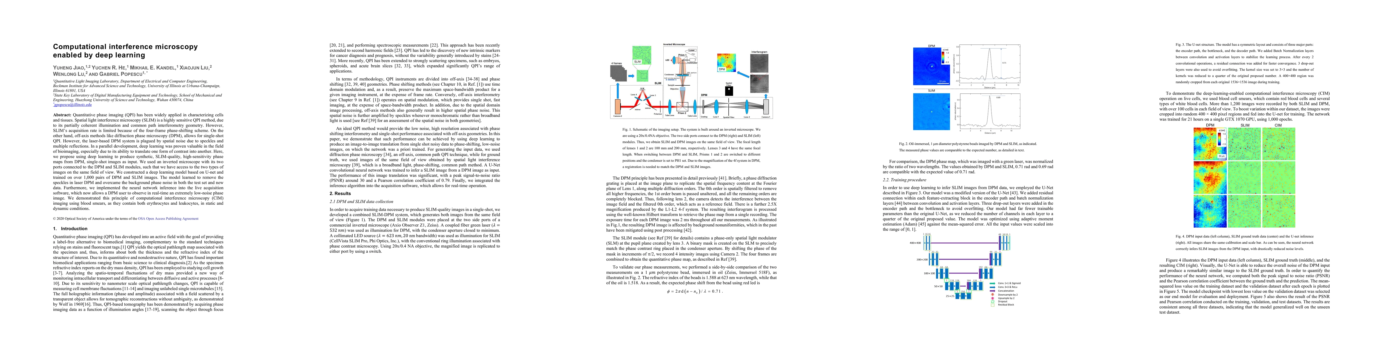 Thumbnail for Computational interference microscopy enabled by deep learning