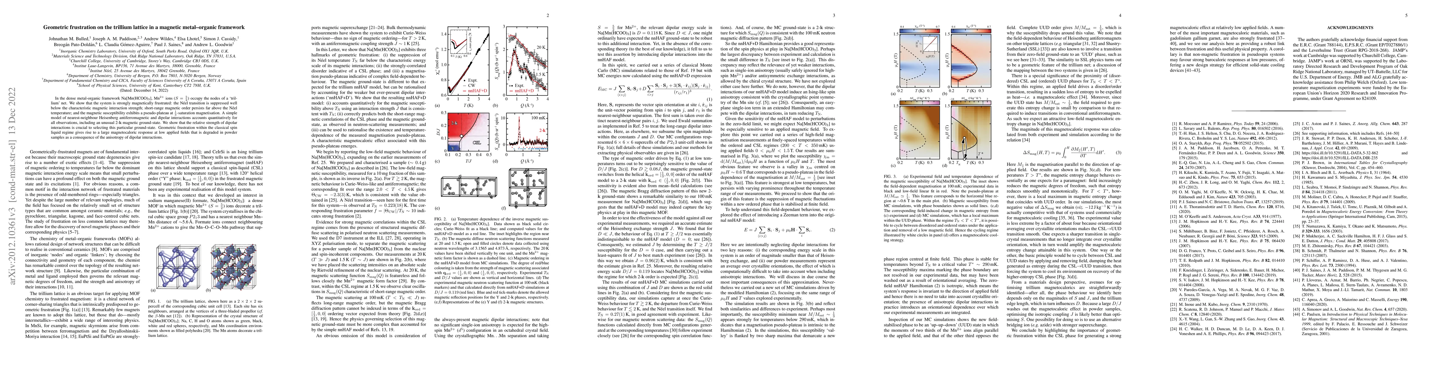 Thumbnail for Geometric frustration on the trillium lattice in a magnetic
  metal-organic framework