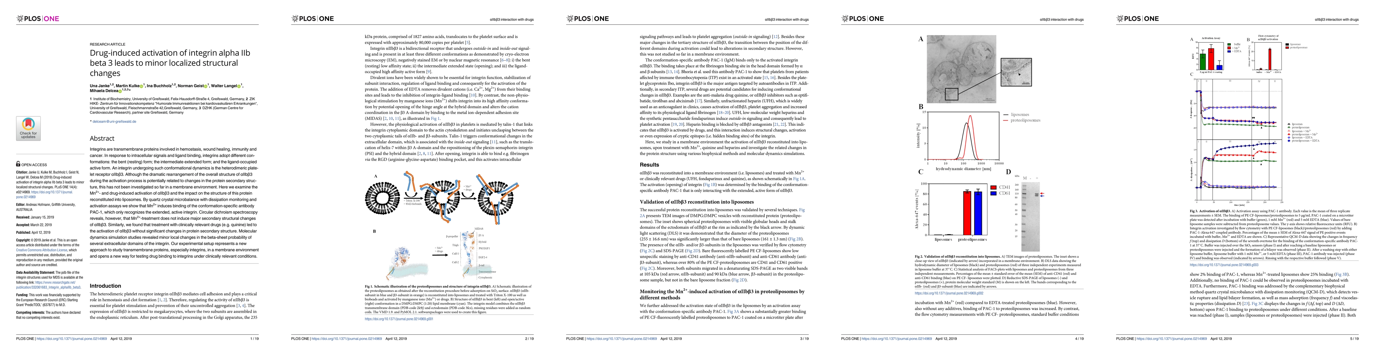 Thumbnail for Drug-induced activation of integrin alpha IIb beta 3 leads to minor
  localized structural changes