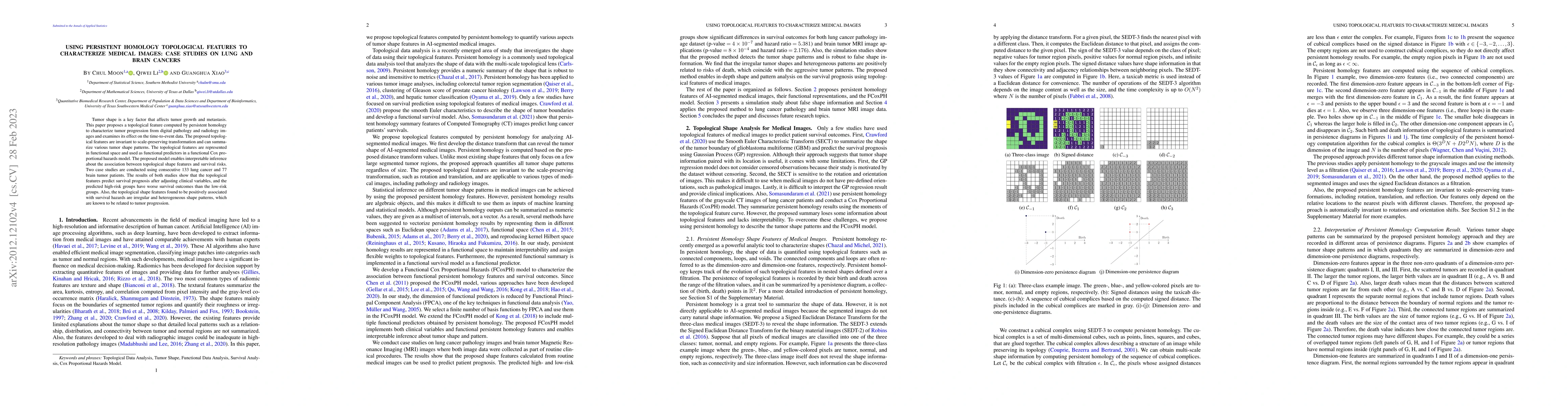 Thumbnail for Using Persistent Homology Topological Features to Characterize Medical
  Images: Case Studies on Lung and Brain Cancers