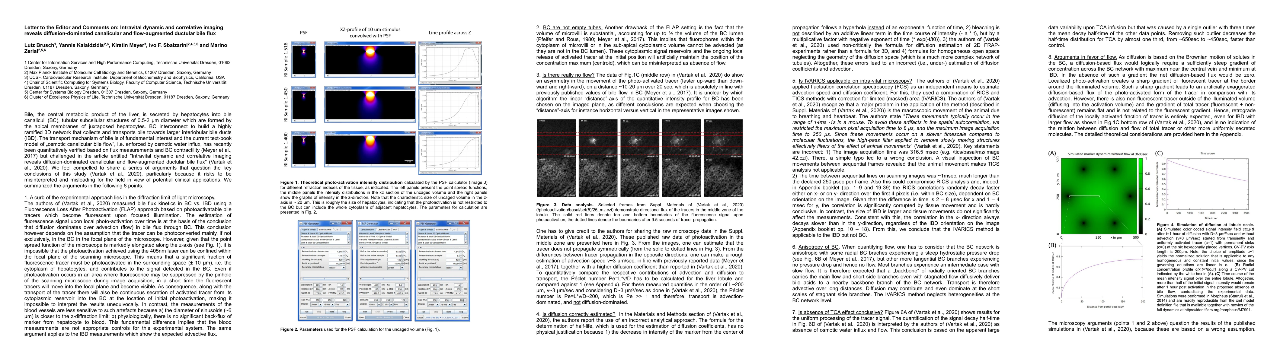 Thumbnail for Letter to the Editor and Comments on: Intravital dynamic and correlative
  imaging reveals diffusion-dominated canalicular and flow-augmented ductular
  bile flux