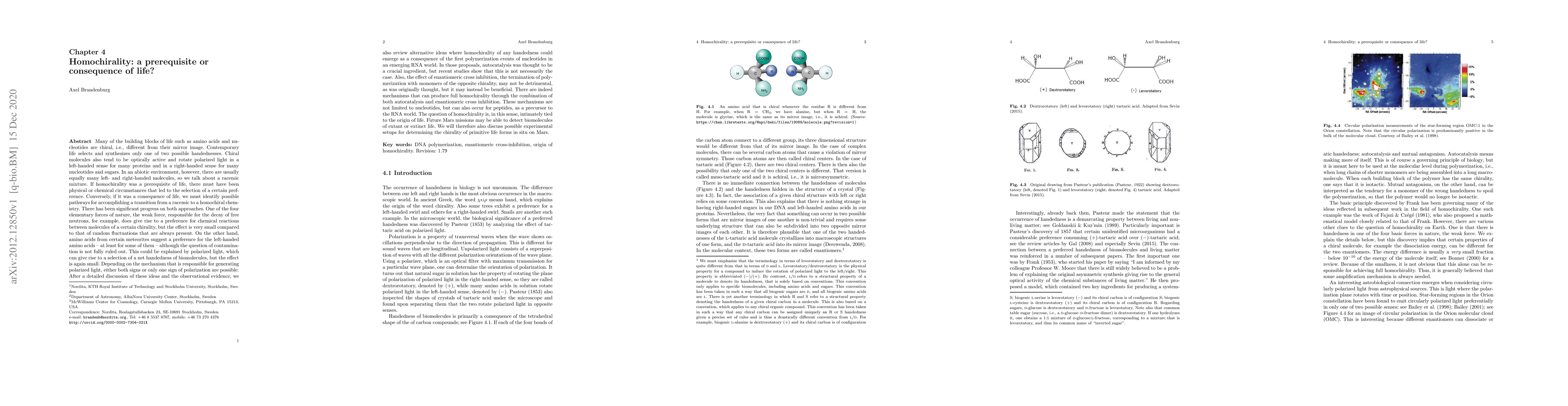 Thumbnail for Homochirality: a prerequisite or consequence of life?