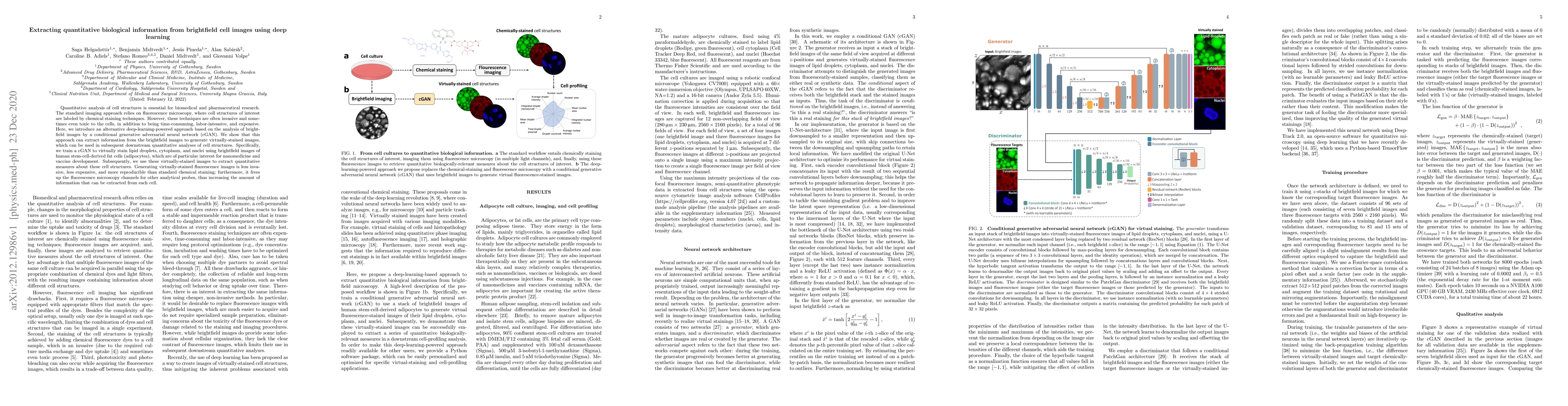 Thumbnail for Extracting quantitative biological information from brightfield cell
  images using deep learning