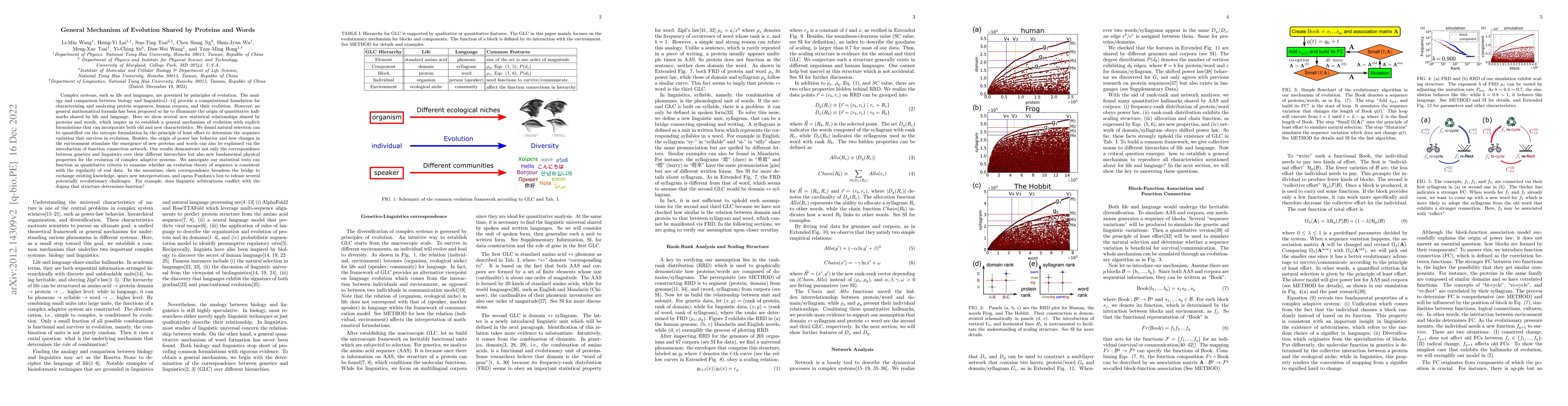 Thumbnail for General Mechanism of Evolution Shared by Proteins and Words
