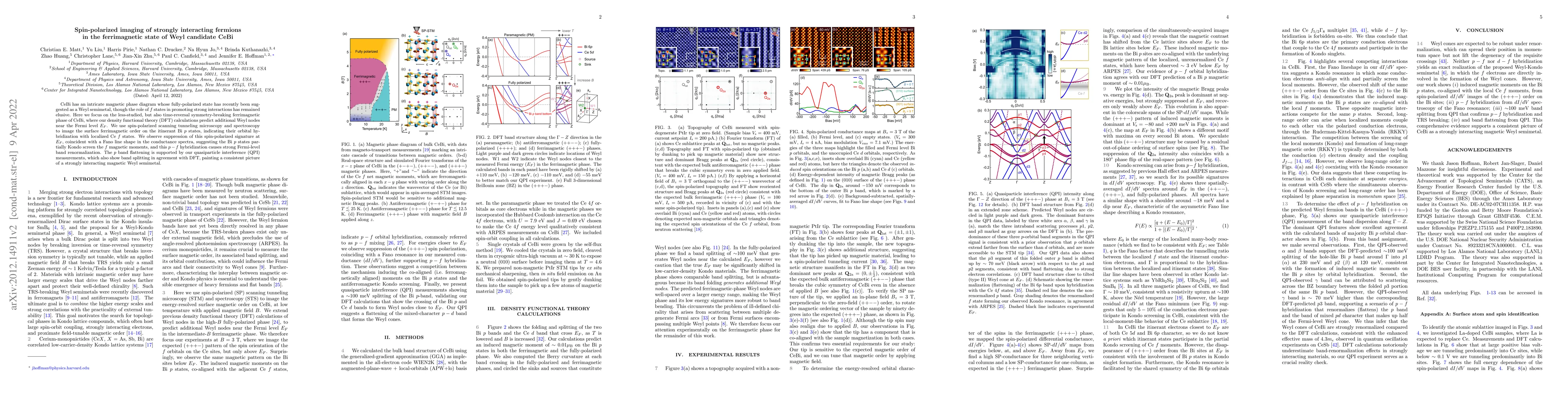 Thumbnail for Spin-polarized imaging of strongly interacting fermions in the
  ferrimagnetic state of Weyl candidate CeBi