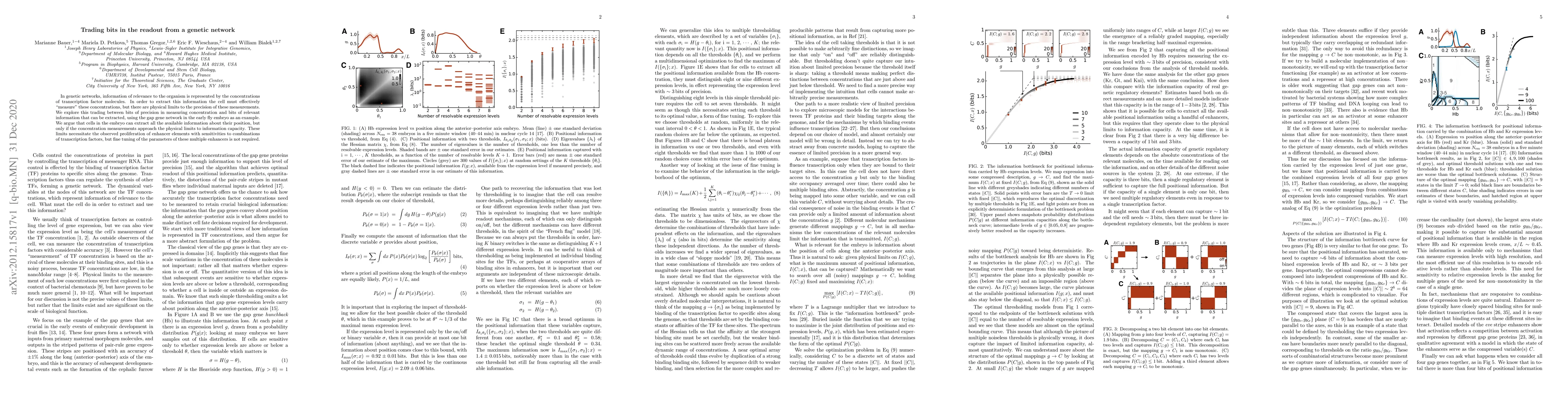 Thumbnail for Trading bits in the readout from a genetic network