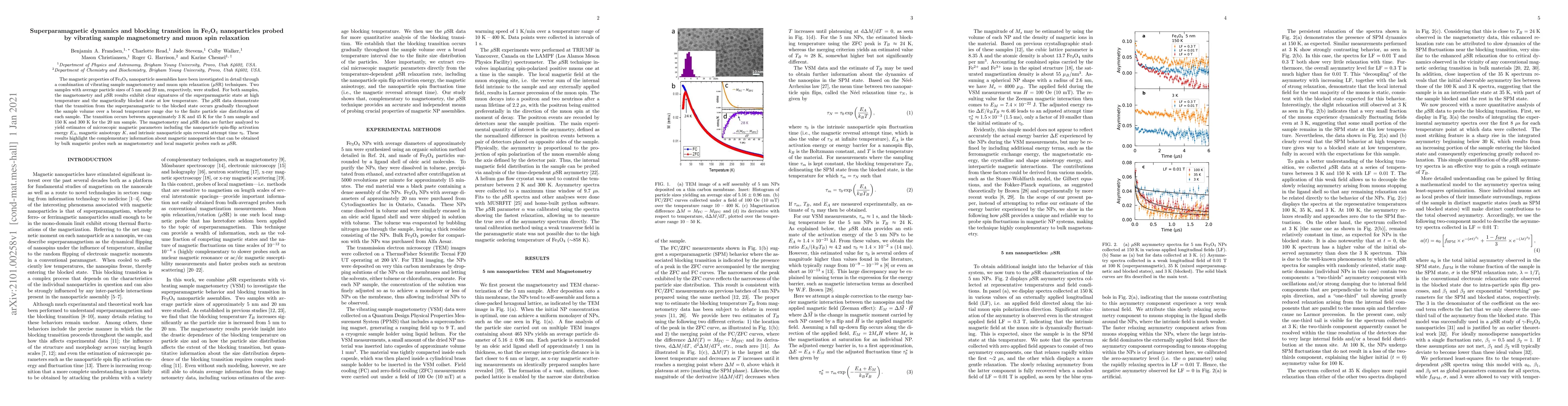Thumbnail for Superparamagnetic dynamics and blocking transition in Fe$_3$O$_4$
  nanoparticles probed by vibrating sample magnetometry and muon spin
  relaxation