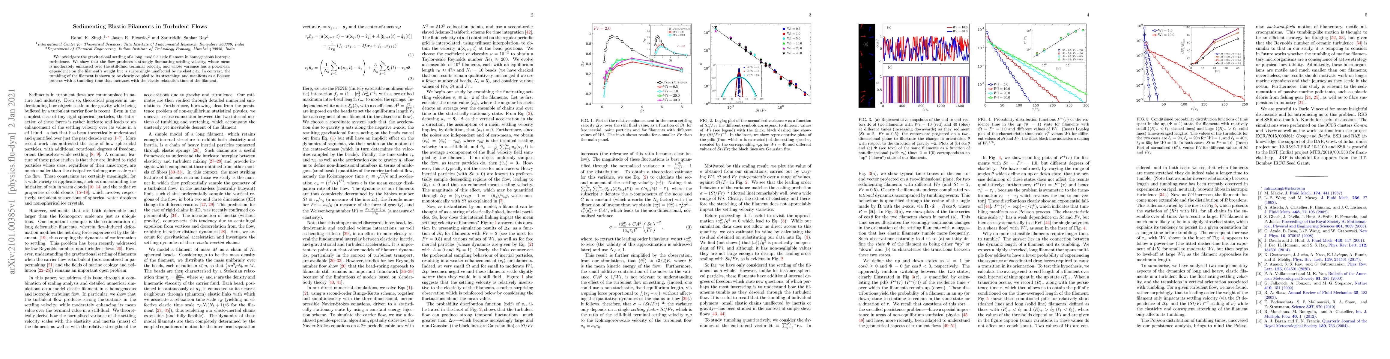 Thumbnail for Sedimenting Elastic Filaments in Turbulent Flows