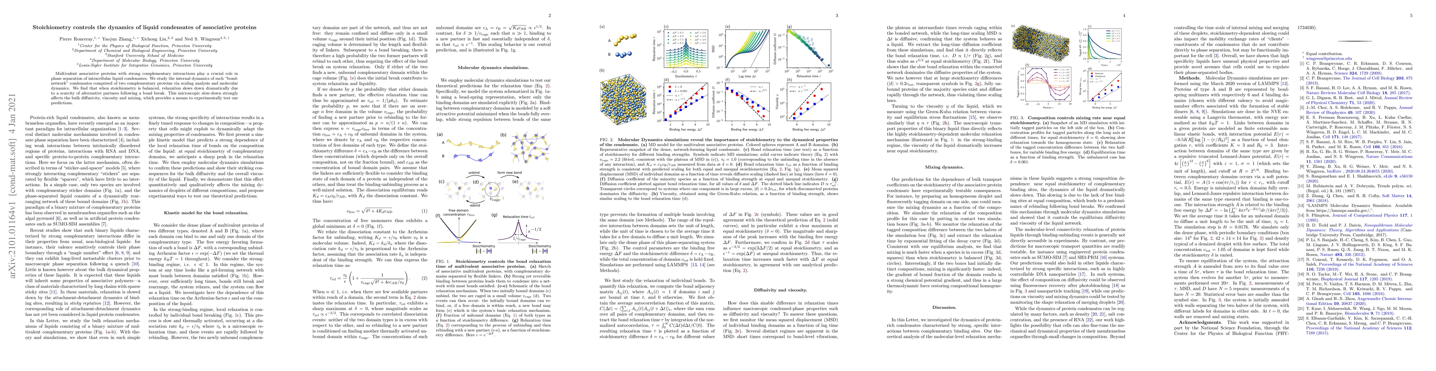 Thumbnail for Stoichiometry controls the dynamics of liquid condensates of associative
  proteins