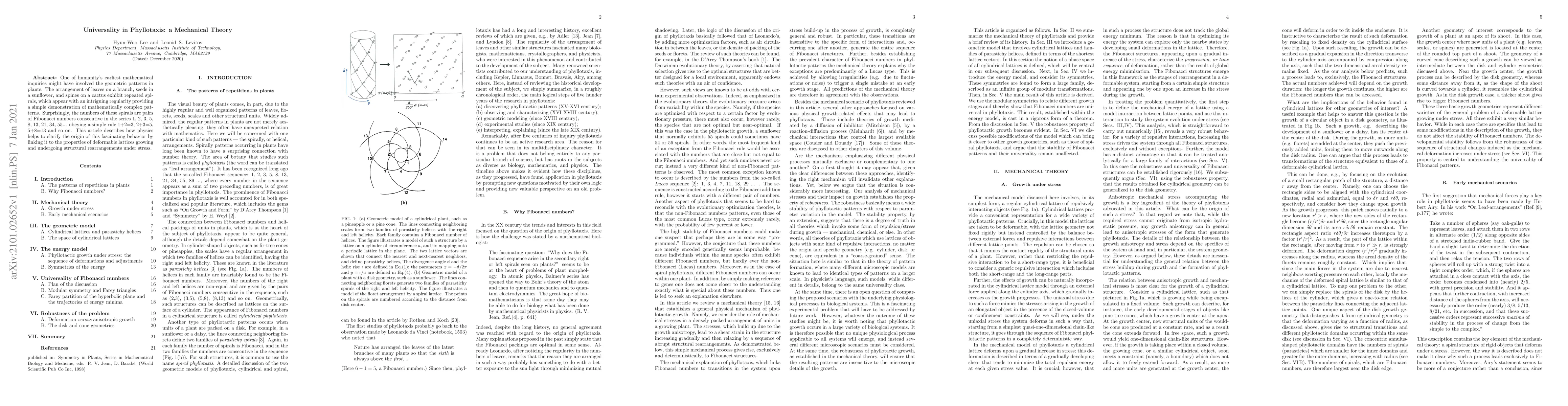 Thumbnail for Universality in Phyllotaxis: a Mechanical Theory