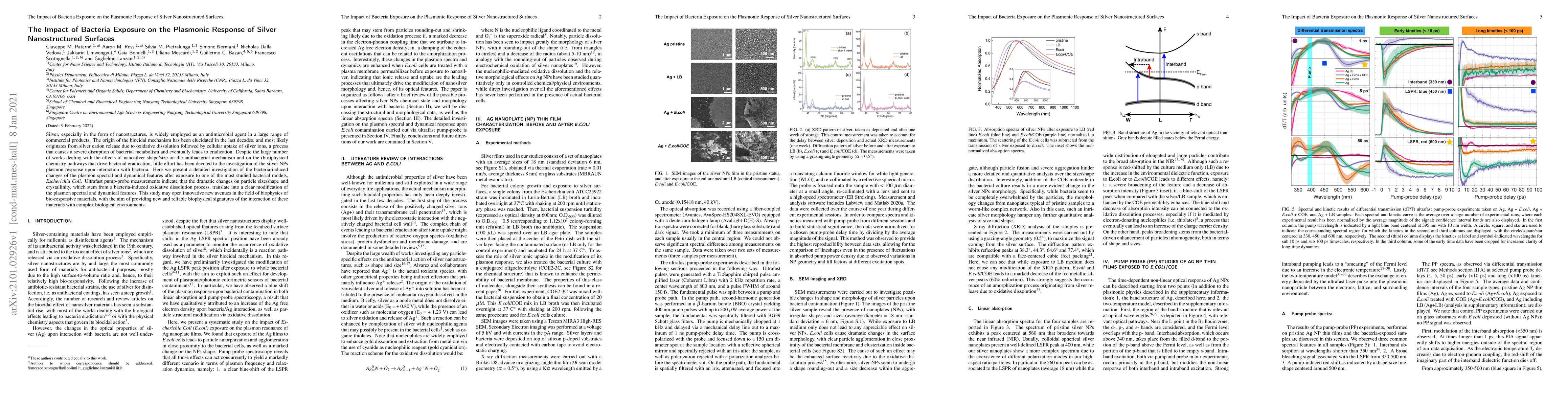 Thumbnail for The Impact of Bacteria Exposure on the Plasmonic Response of Silver
  Nanostructured Surfaces