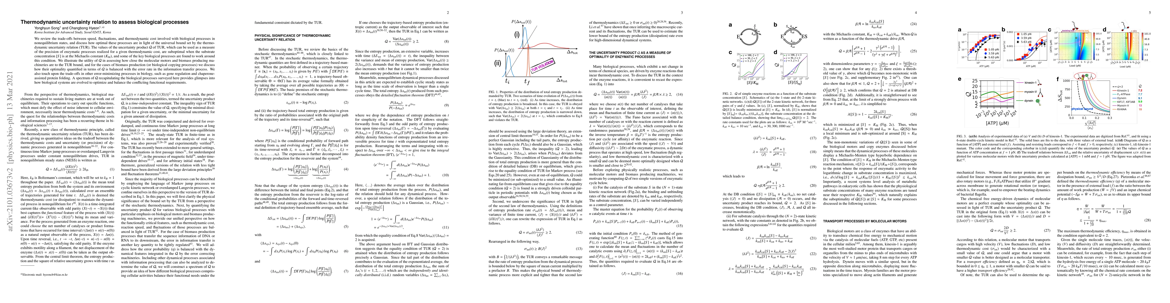Thumbnail for Thermodynamic uncertainty relation to assess biological processes