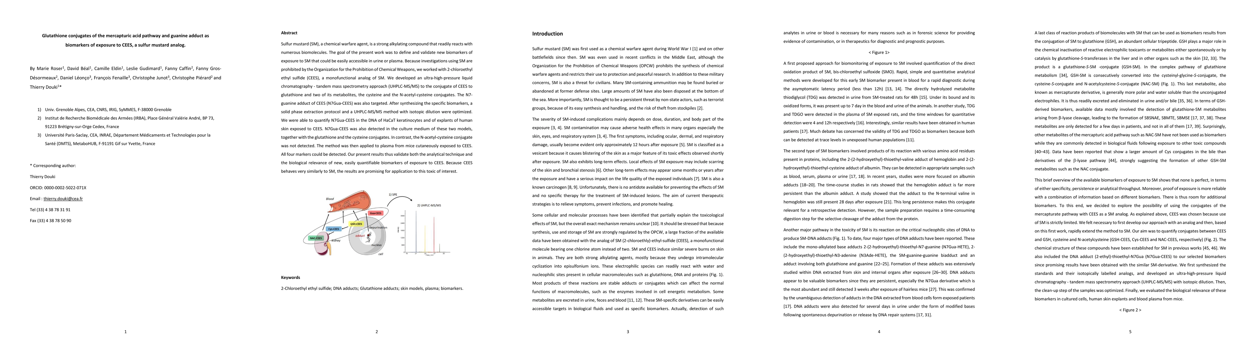 Thumbnail for Glutathione conjugates of the mercapturic acid pathway and guanine
  adduct as biomarkers of exposure to CEES, a sulfur mustard analog