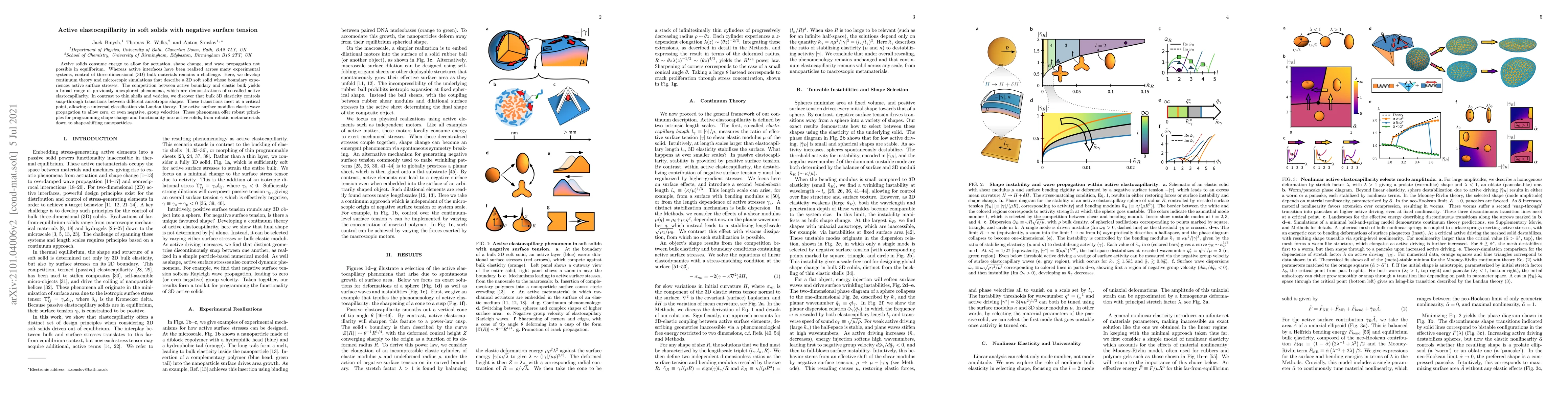 Thumbnail for Active elastocapillarity in soft solids with negative surface tension