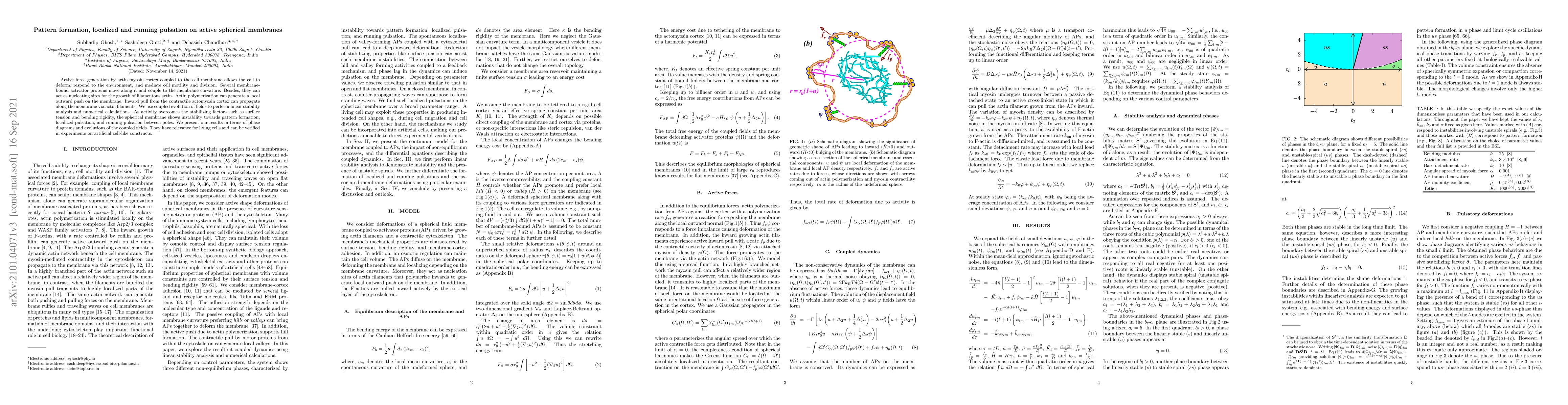 Thumbnail for Pattern formation, localized and running pulsation on active spherical
  membranes