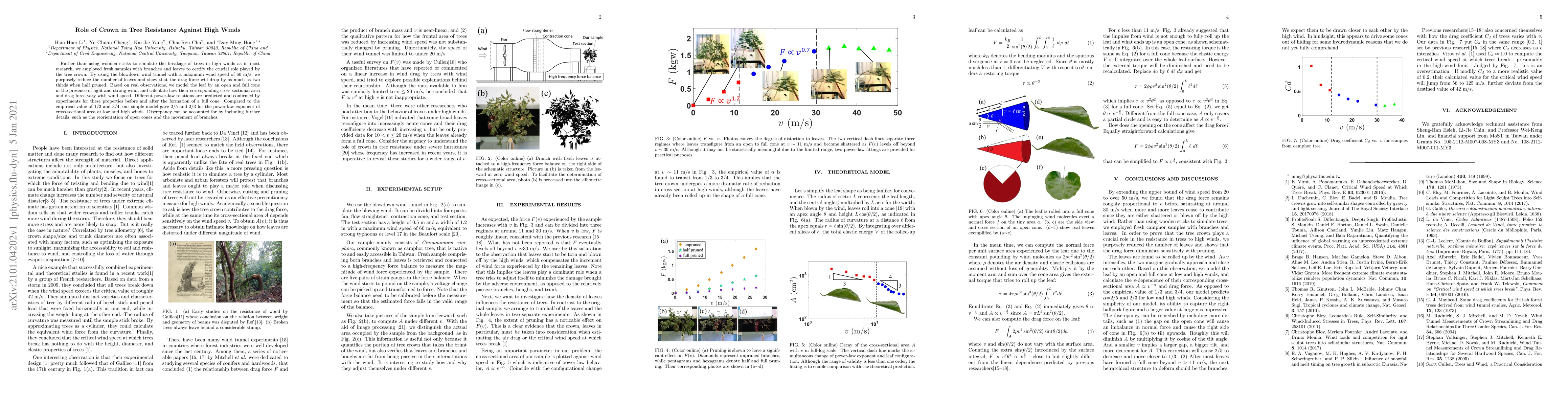 Thumbnail for Role of Crown in Tree Resistance Against High Winds