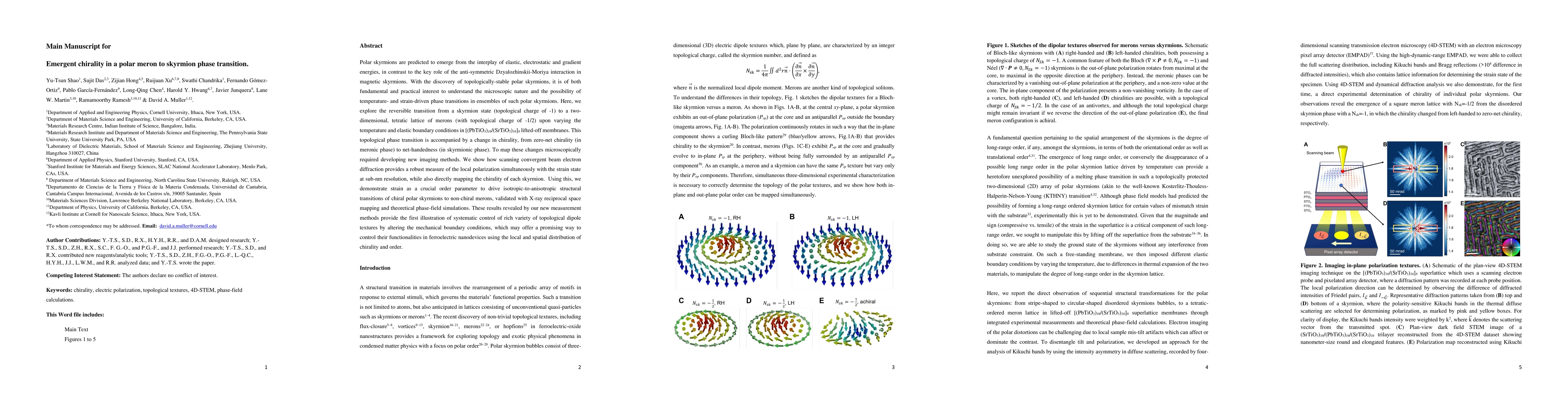 Thumbnail for Emergent chirality in a polar meron to skyrmion phase transition