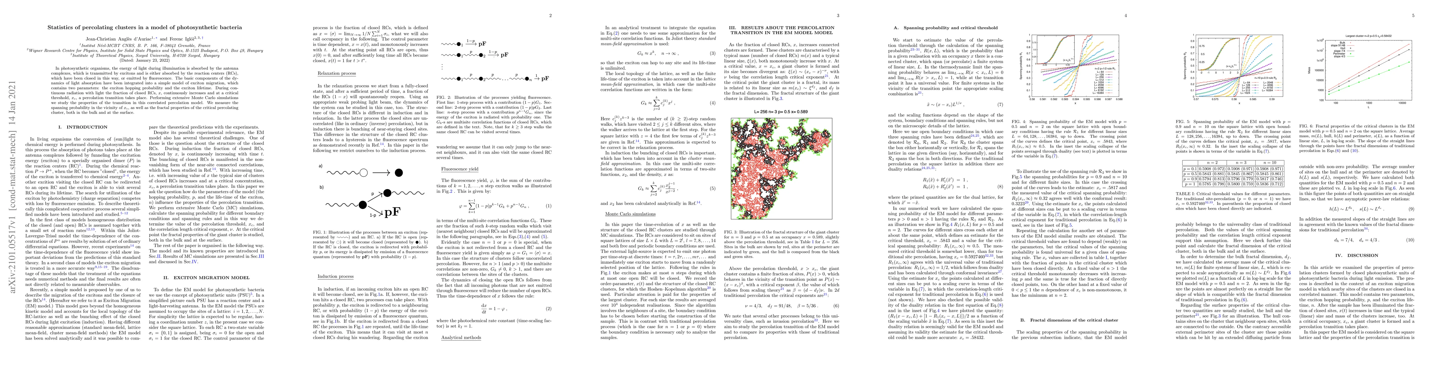 Thumbnail for Statistics of percolating clusters in a model of photosynthetic bacteria