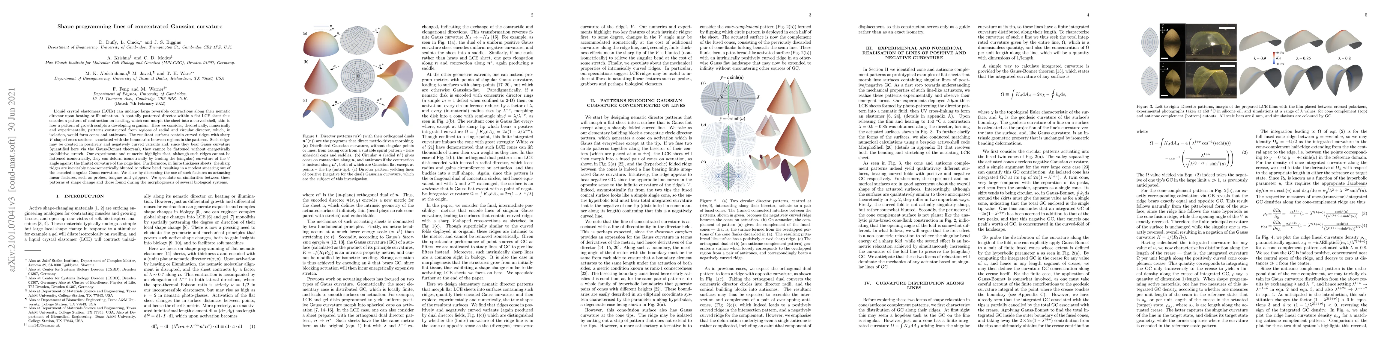 Thumbnail for Shape programming lines of concentrated Gaussian curvature