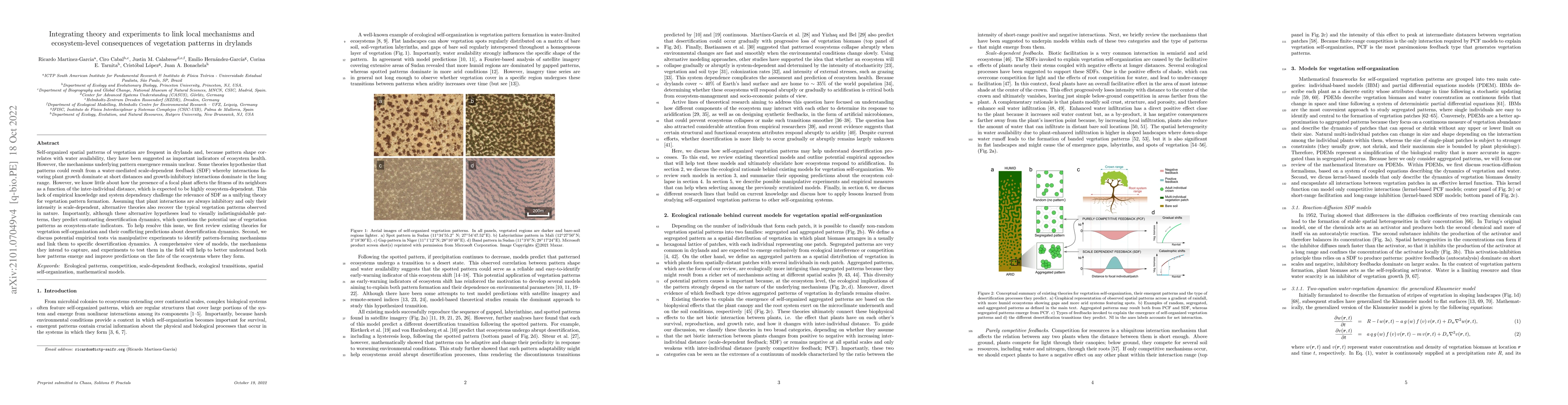 Thumbnail for Integrating theory and experiments to link local mechanisms and
  ecosystem-level consequences of vegetation patterns in drylands