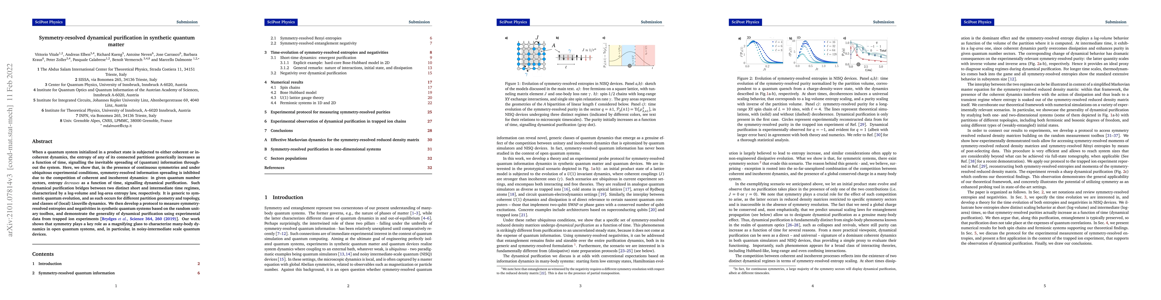 Thumbnail for Symmetry-resolved dynamical purification in synthetic quantum matter