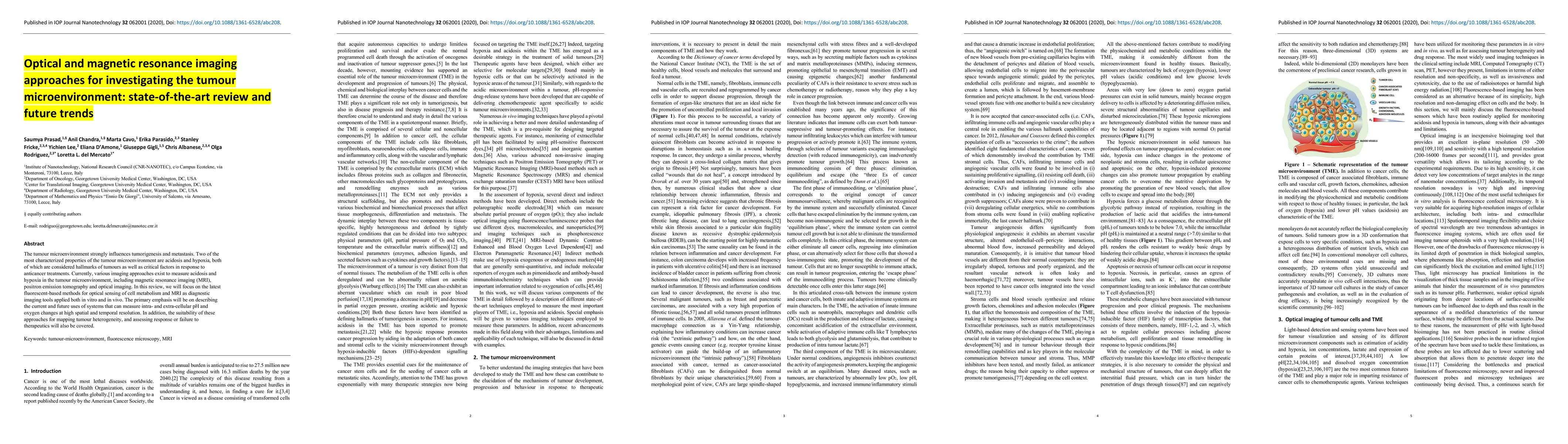 Thumbnail for Optical and magnetic resonance imaging approaches for investigating the
  tumour microenvironment: state-of-the-art review and future trends