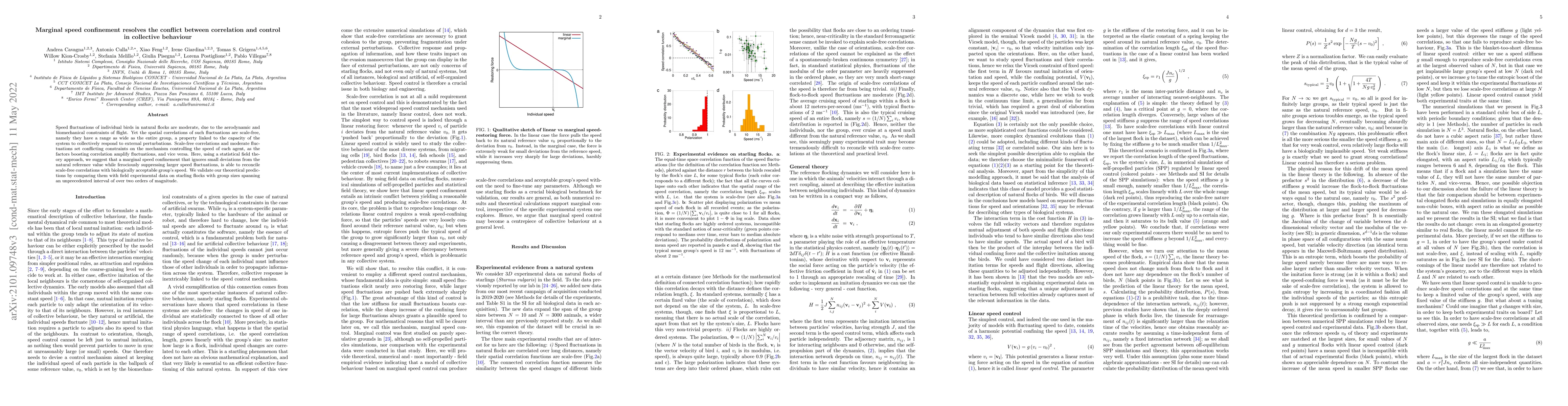 Thumbnail for Marginal speed confinement resolves the conflict between correlation and
  control in natural flocks of birds