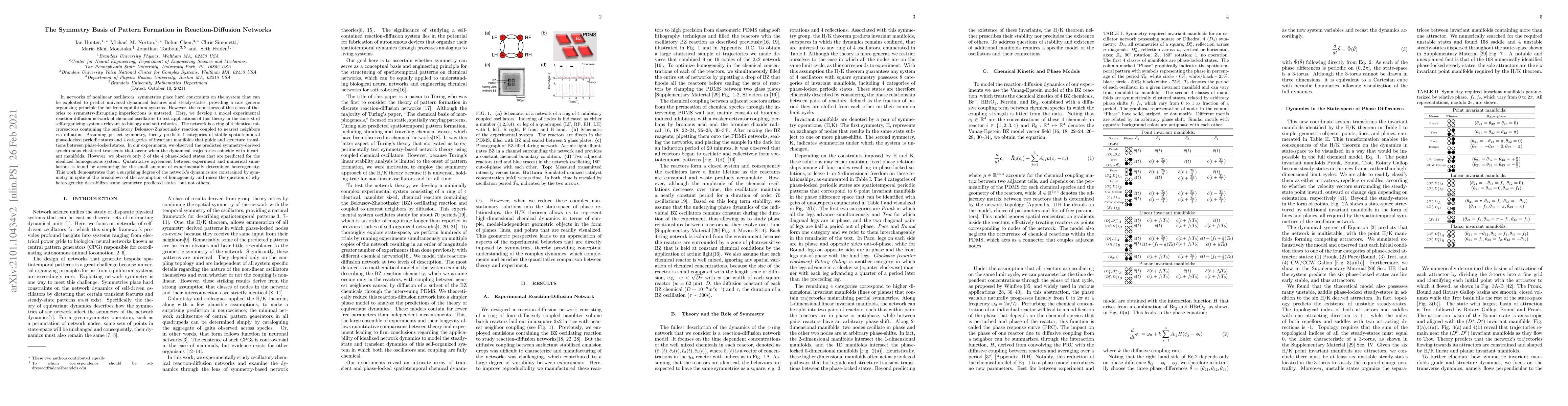 Thumbnail for The Symmetry Basis of Pattern Formation in Reaction-Diffusion Networks