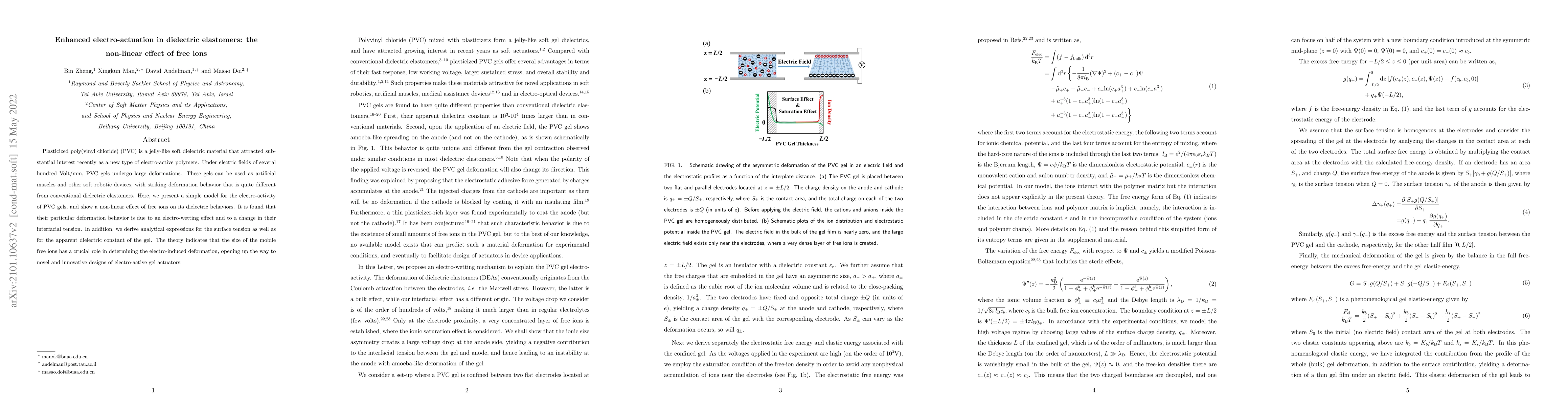 Thumbnail for Enhanced electro-actuation in dielectric elastomers: the non-linear
  effect of free ions