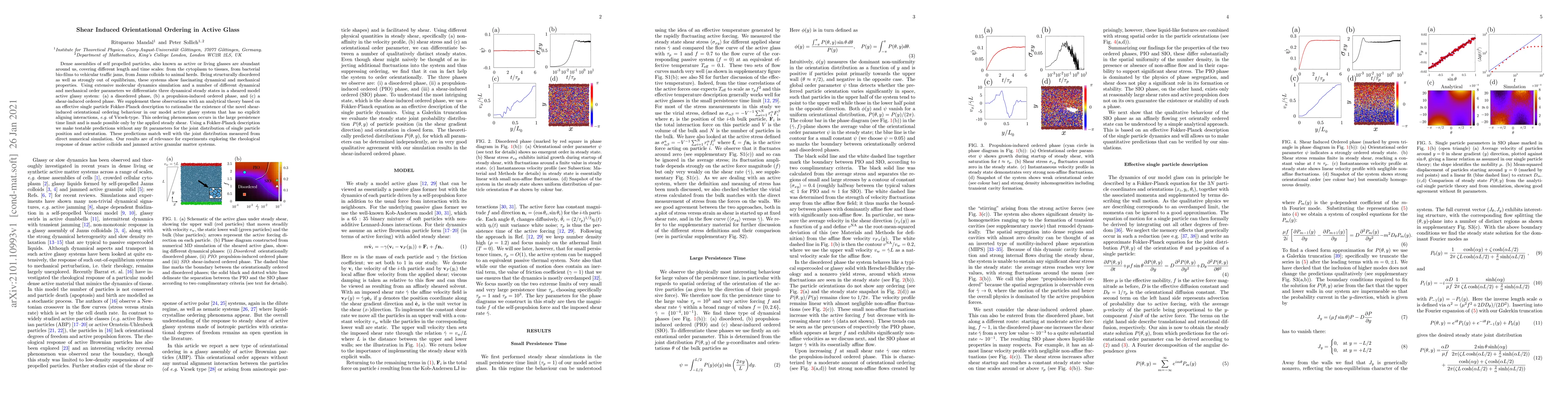 Thumbnail for Shear Induced Orientational Ordering in Active Glass