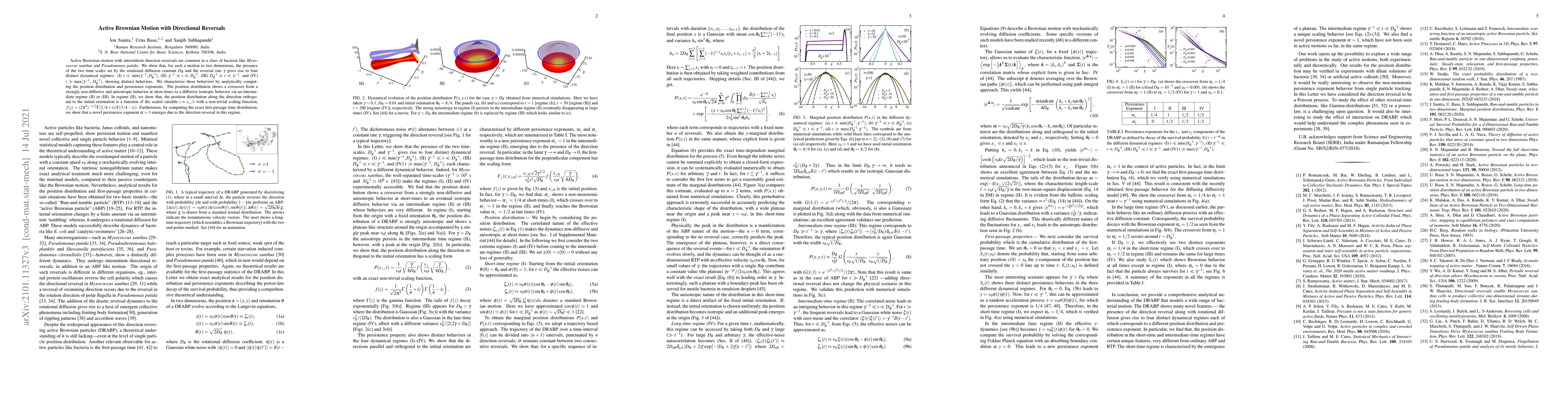 Thumbnail for Active Brownian Motion with Directional Reversals