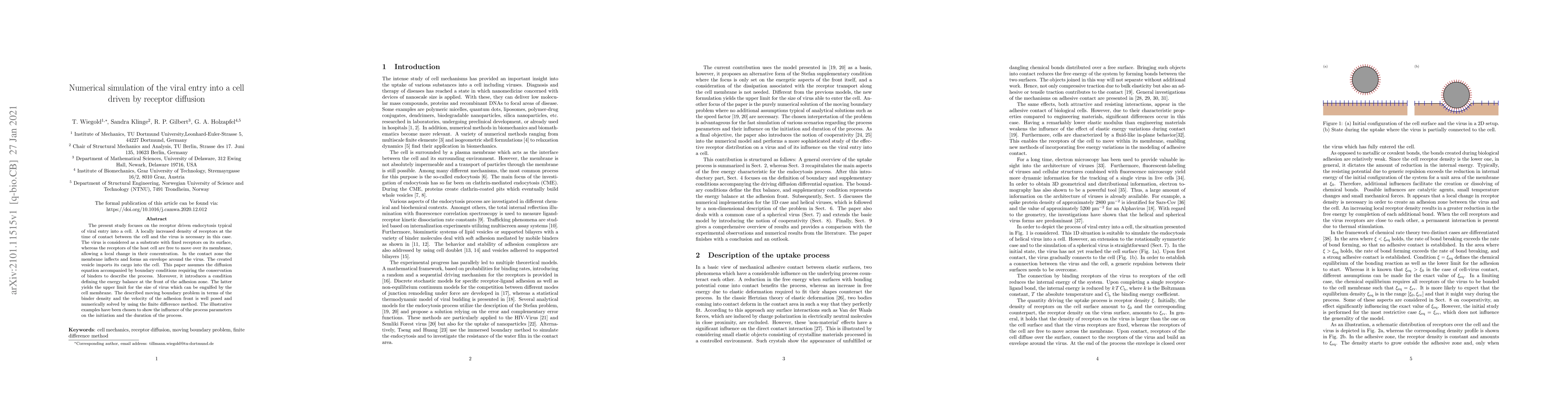 Thumbnail for Numerical simulation of the viral entry into a cell driven by receptor
  diffusion