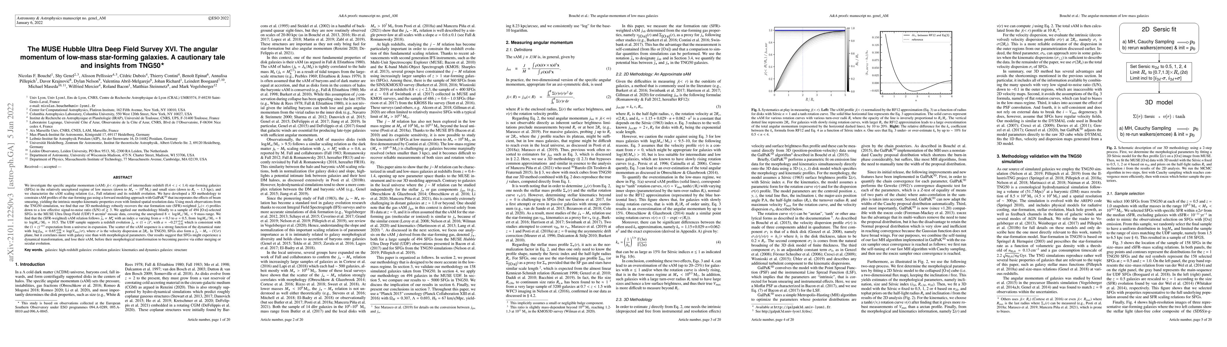 Thumbnail for The MUSE Hubble Ultra Deep Field Survey XVI. The angular momentum of
  low-mass star-forming galaxies. A cautionary tale and insights from TNG50