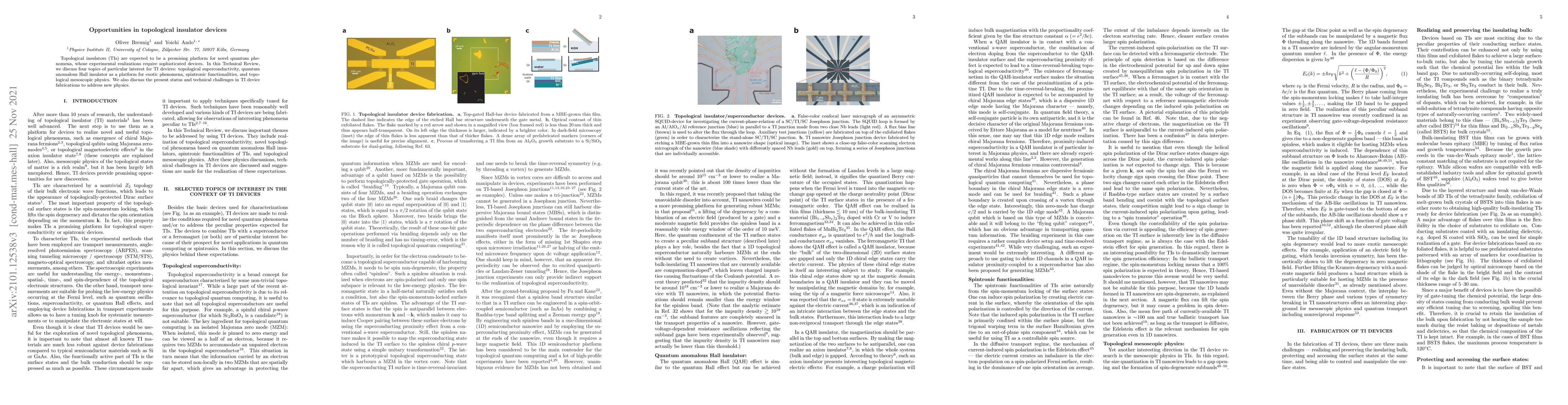 Thumbnail for Opportunities in topological insulator devices