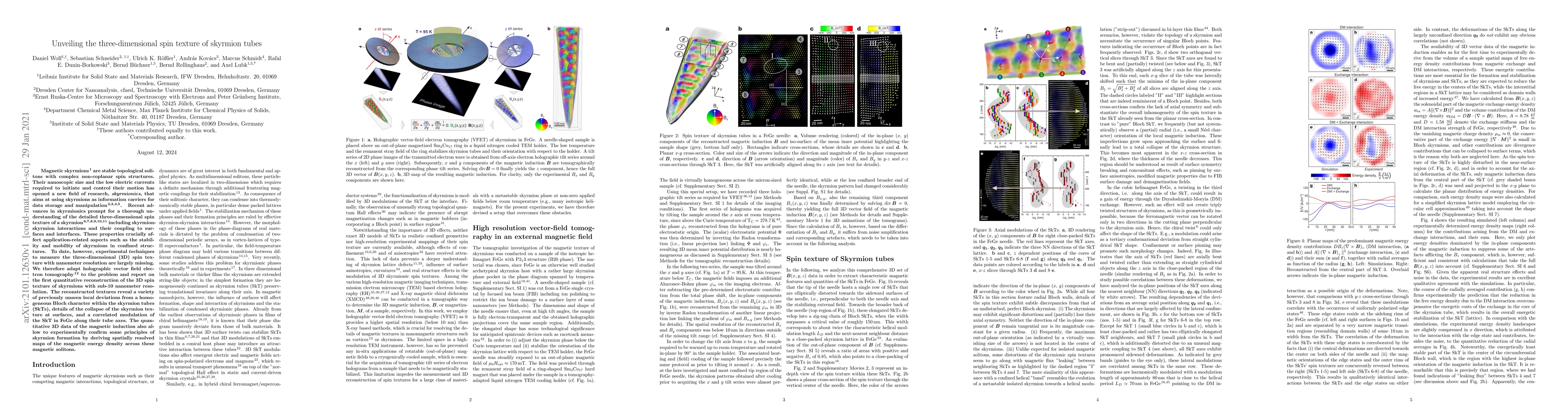 Thumbnail for Unveiling the three-dimensional spin texture of skyrmion tubes