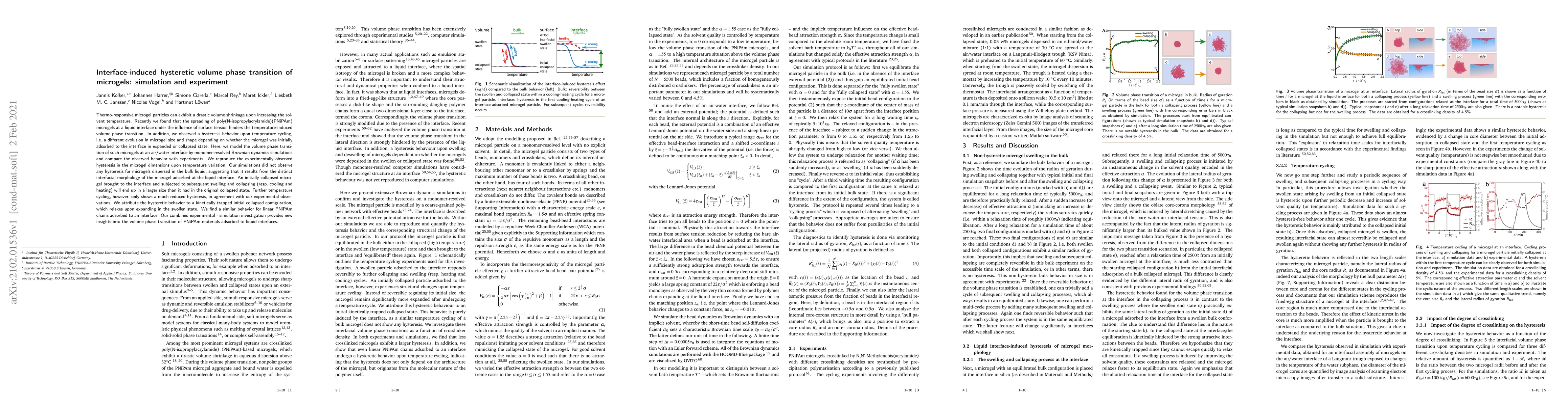 Thumbnail for Interface-induced hysteretic volume phase transition of microgels:
  simulation and experiment