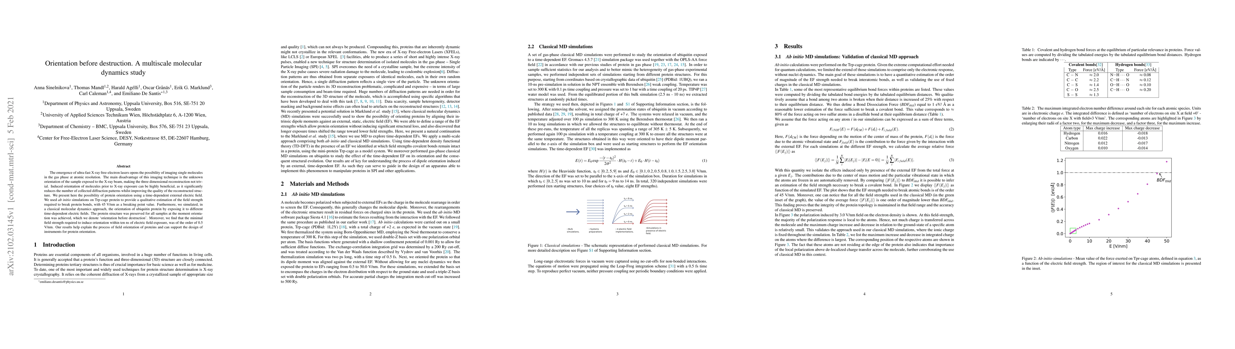 Thumbnail for Orientation before destruction. A multiscale molecular dynamics study