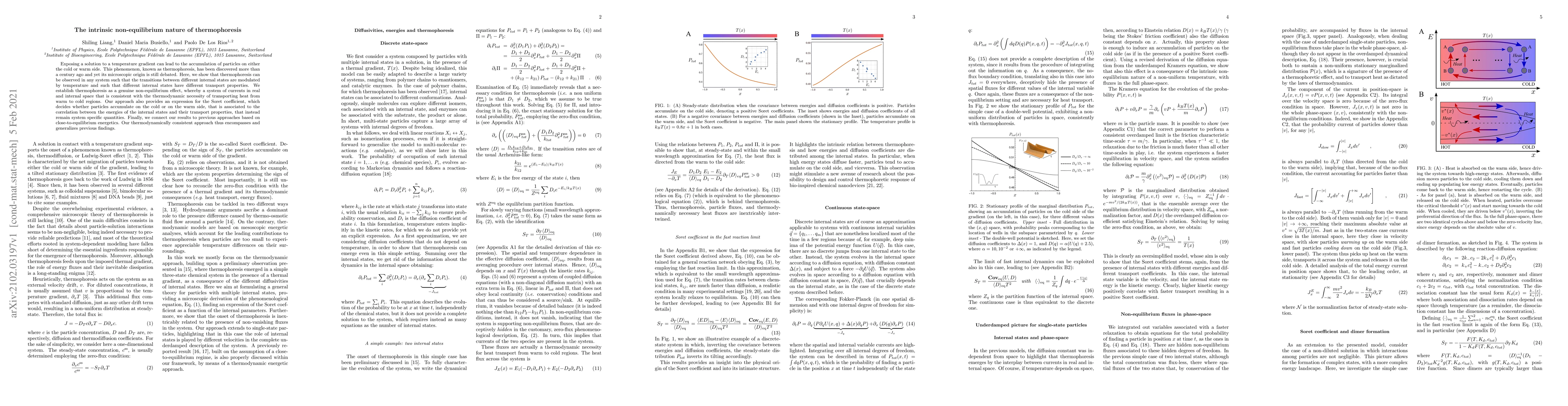 Thumbnail for The intrinsic non-equilibrium nature of thermophoresis