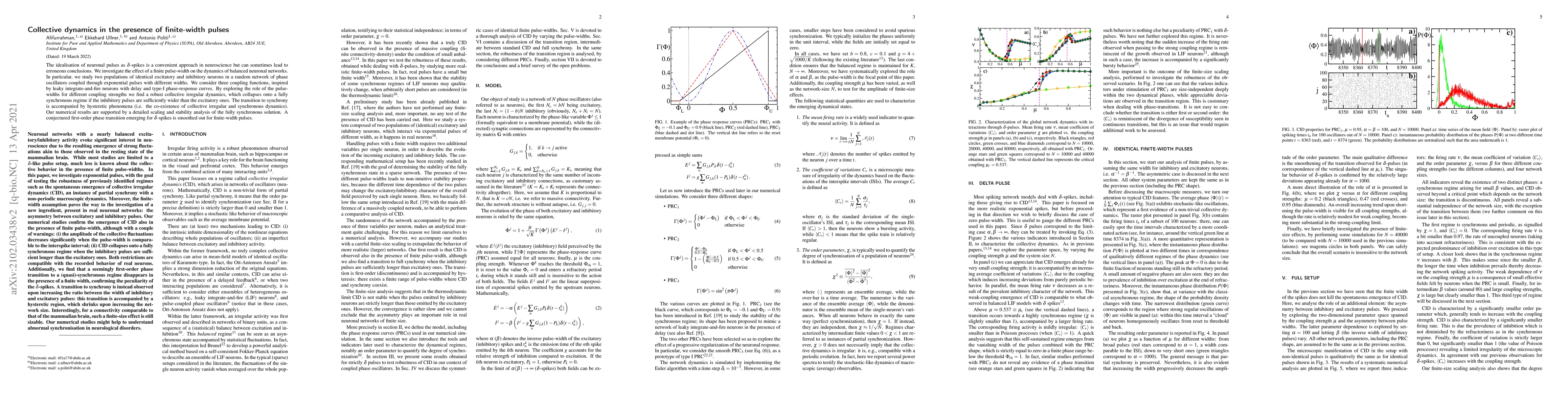 Thumbnail for Collective dynamics in the presence of finite-width pulses
