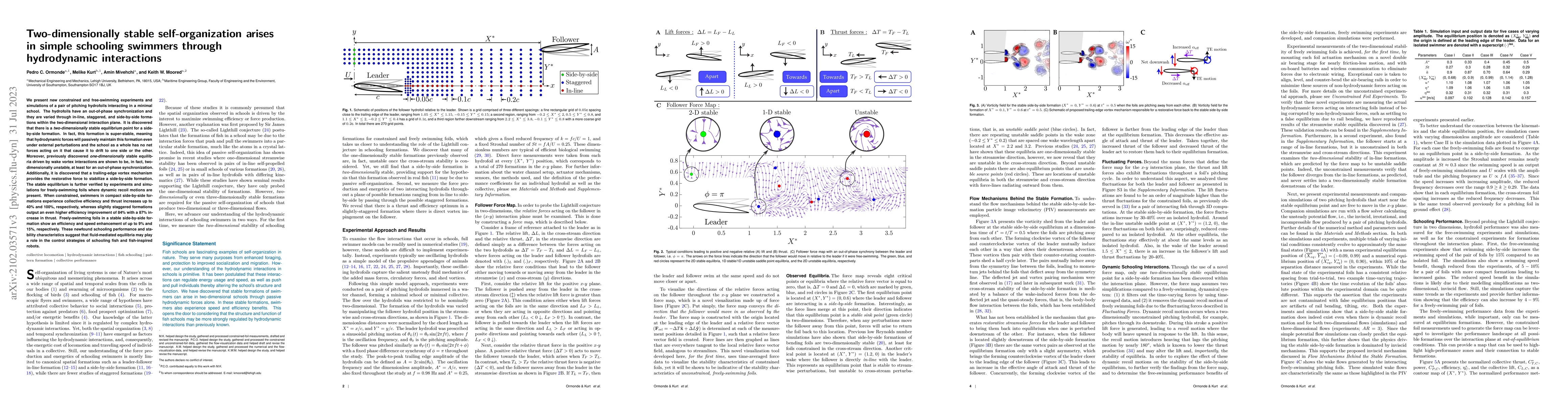 Thumbnail for Two-dimensionally stable self-organization arises in simple schooling
  swimmers through hydrodynamic interactions