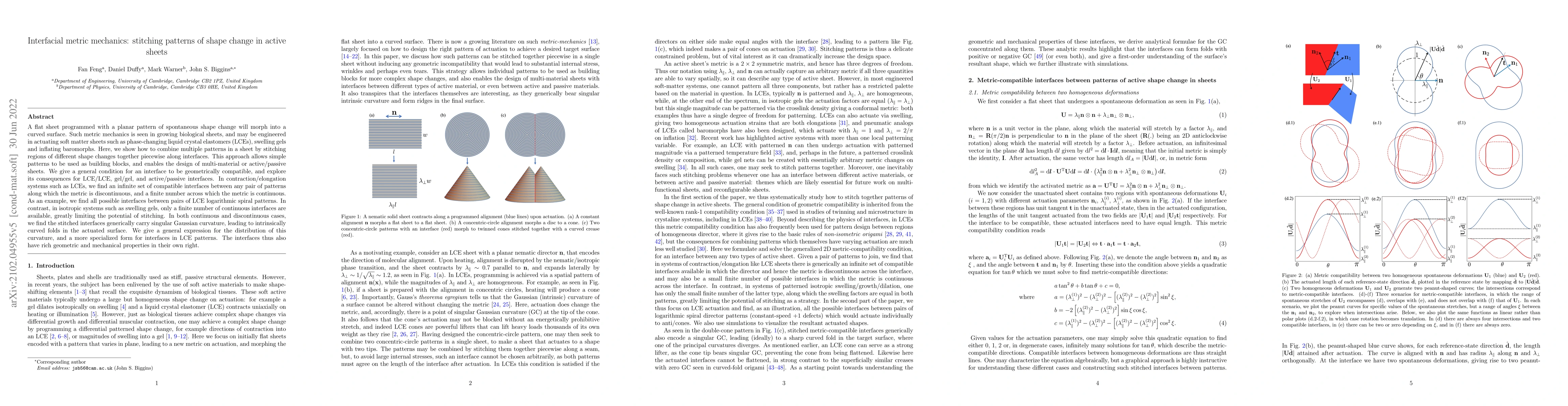 Thumbnail for Interfacial metric mechanics: stitching patterns of shape change in
  active sheets