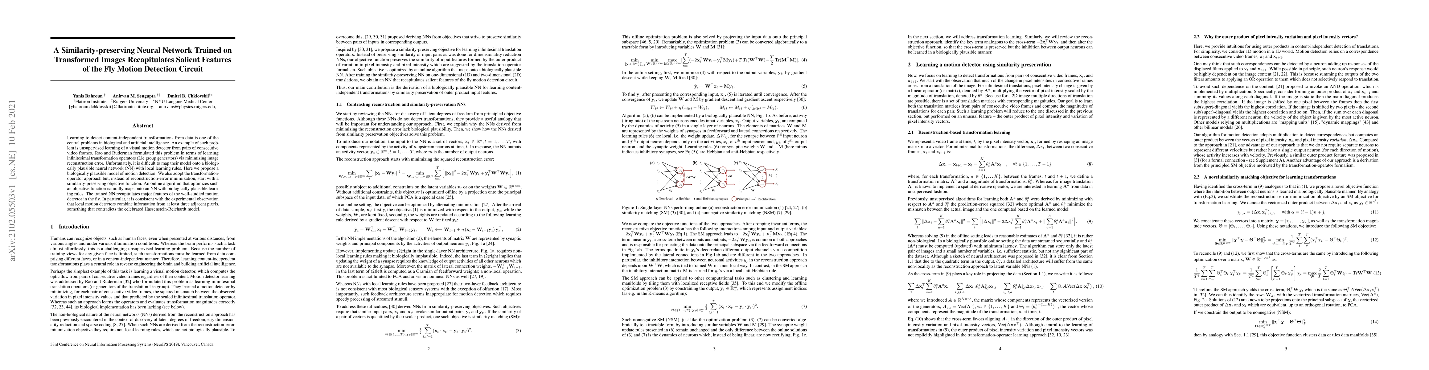 Thumbnail for A Similarity-preserving Neural Network Trained on Transformed Images
  Recapitulates Salient Features of the Fly Motion Detection Circuit