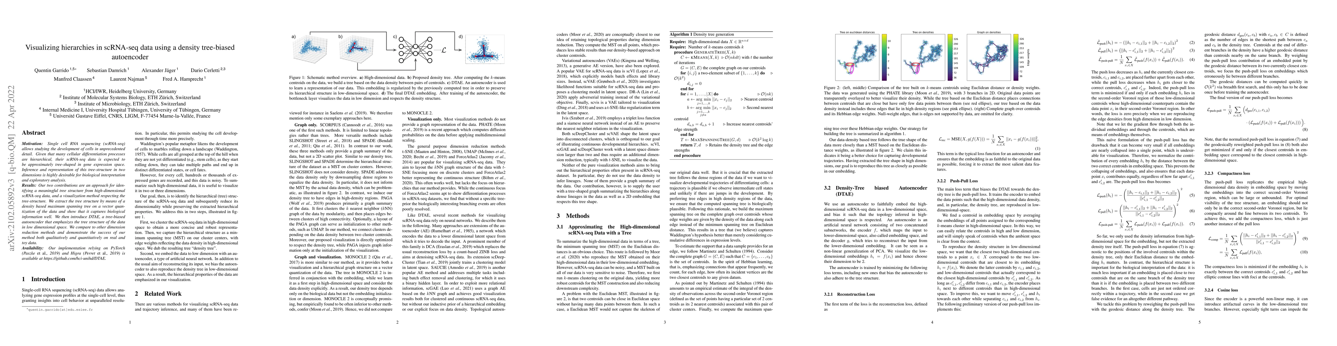 Thumbnail for Visualizing hierarchies in scRNA-seq data using a density tree-biased
  autoencoder