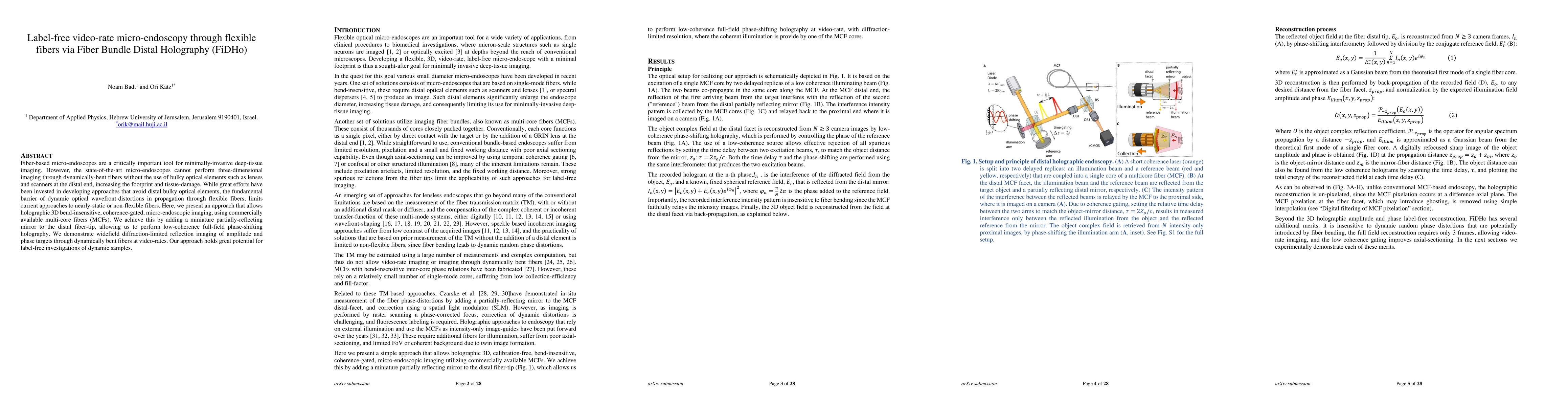 Thumbnail for Label-free video-rate micro-endoscopy through flexible fibers via Fiber
  Bundle Distal Holography (FiDHo)