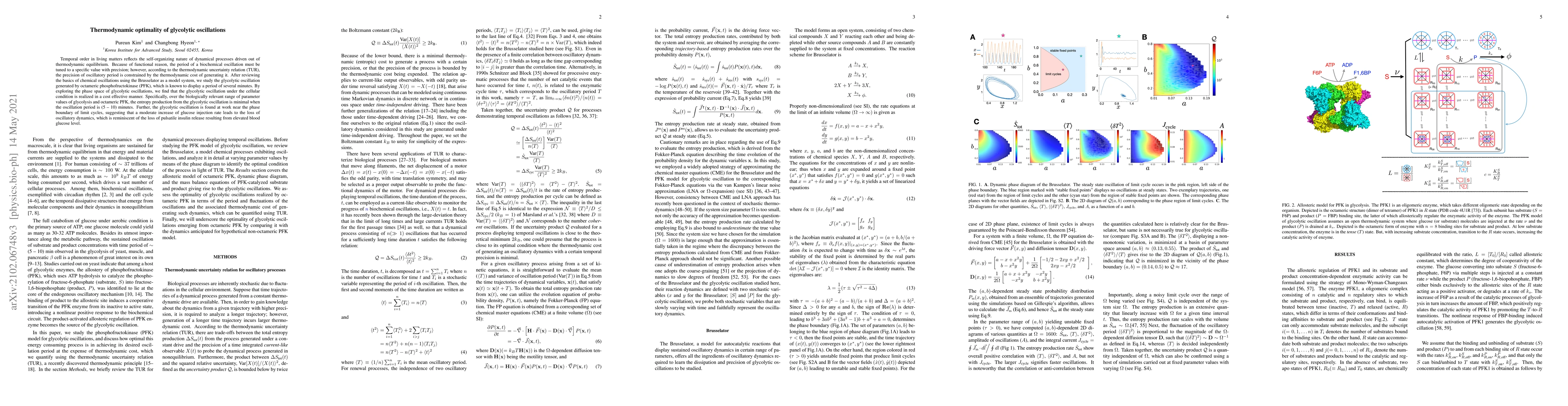 Thumbnail for Thermodynamic optimality of glycolytic oscillations