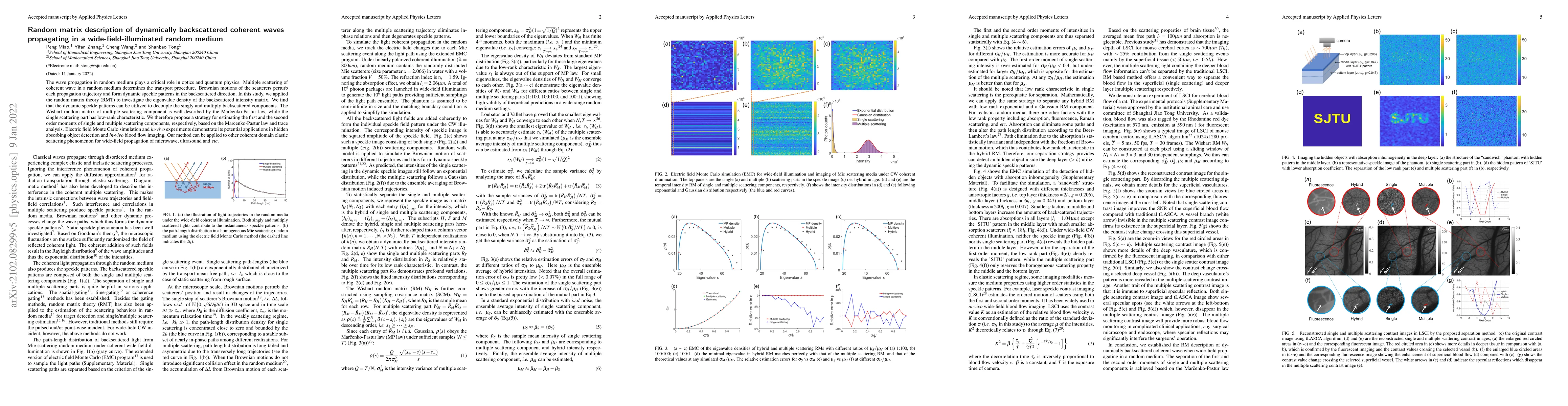 Thumbnail for Random matrix description of dynamically backscattered coherent waves
  propagating in a wide-field-illuminated random medium