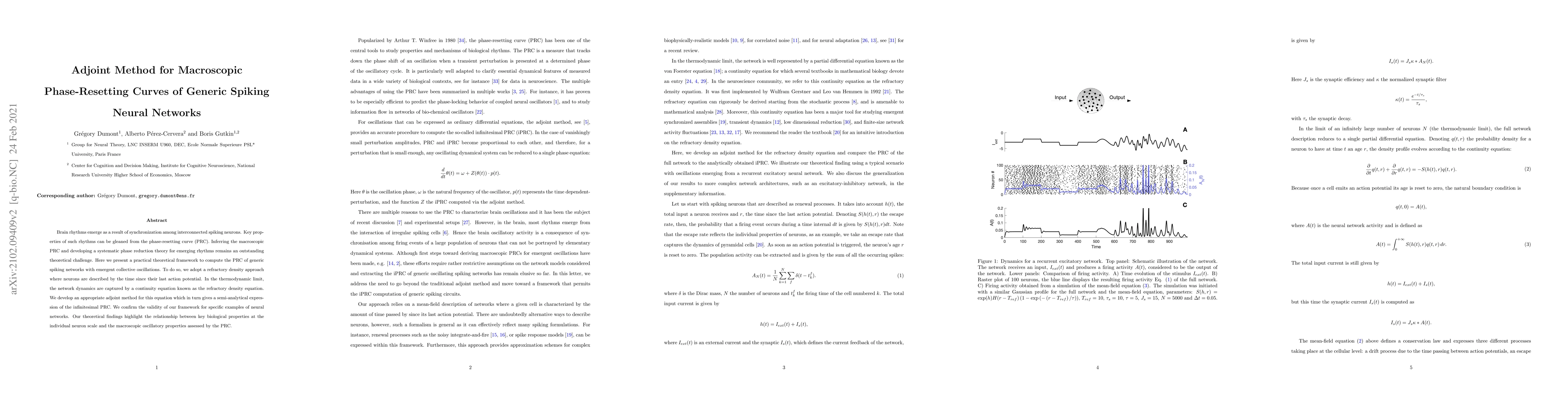 Thumbnail for Adjoint Method for Macroscopic Phase-Resetting Curves of Generic Spiking
  Neural Networks